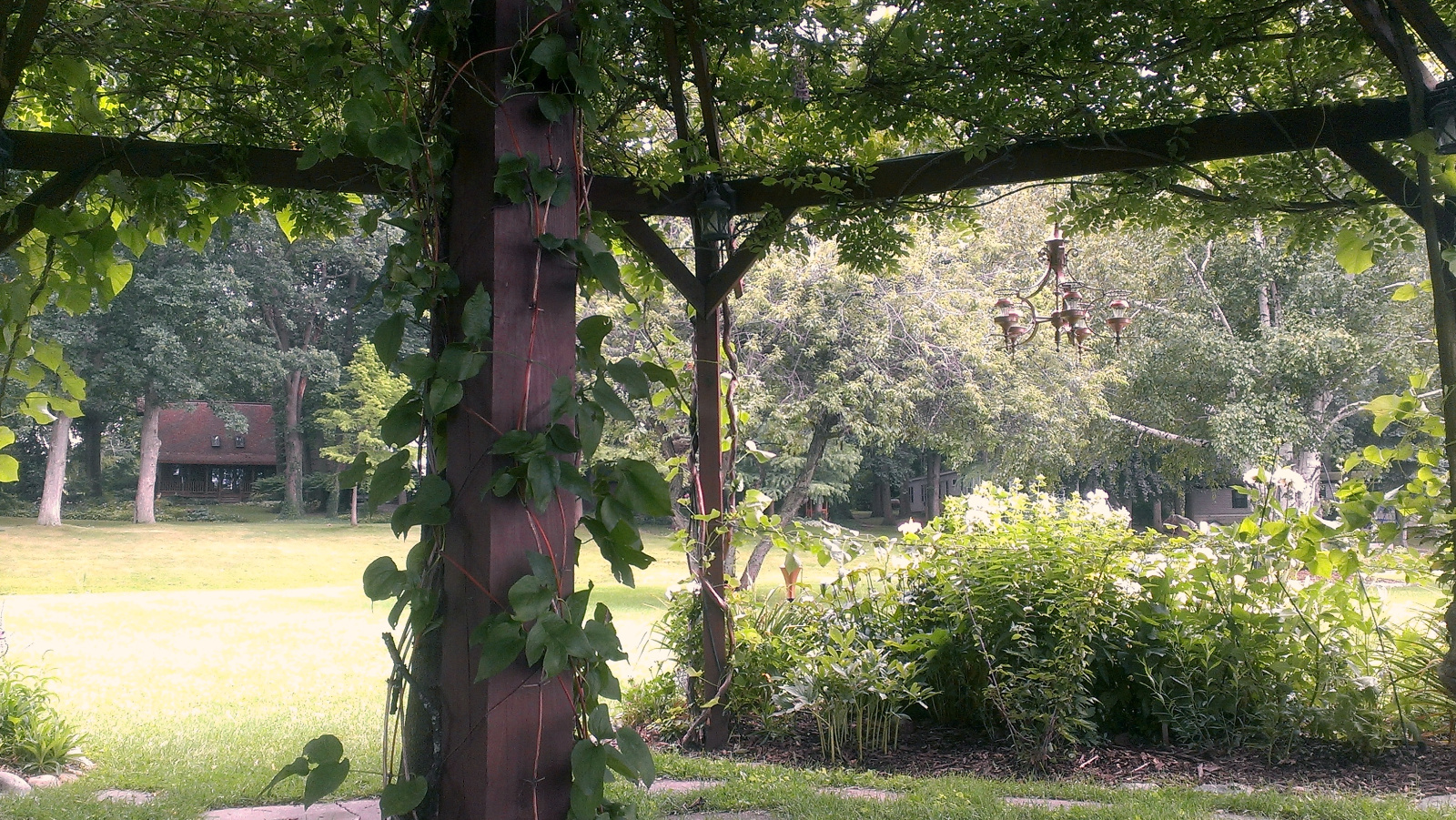 Looking out from underneath the Flowering Gazebo